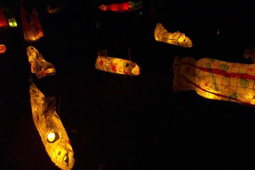 Lanterns at night, swimming into dreams