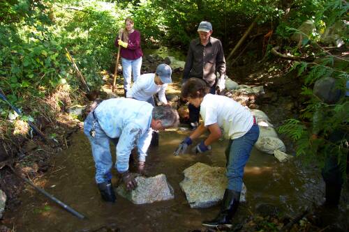 Positioning boulders to make weir
